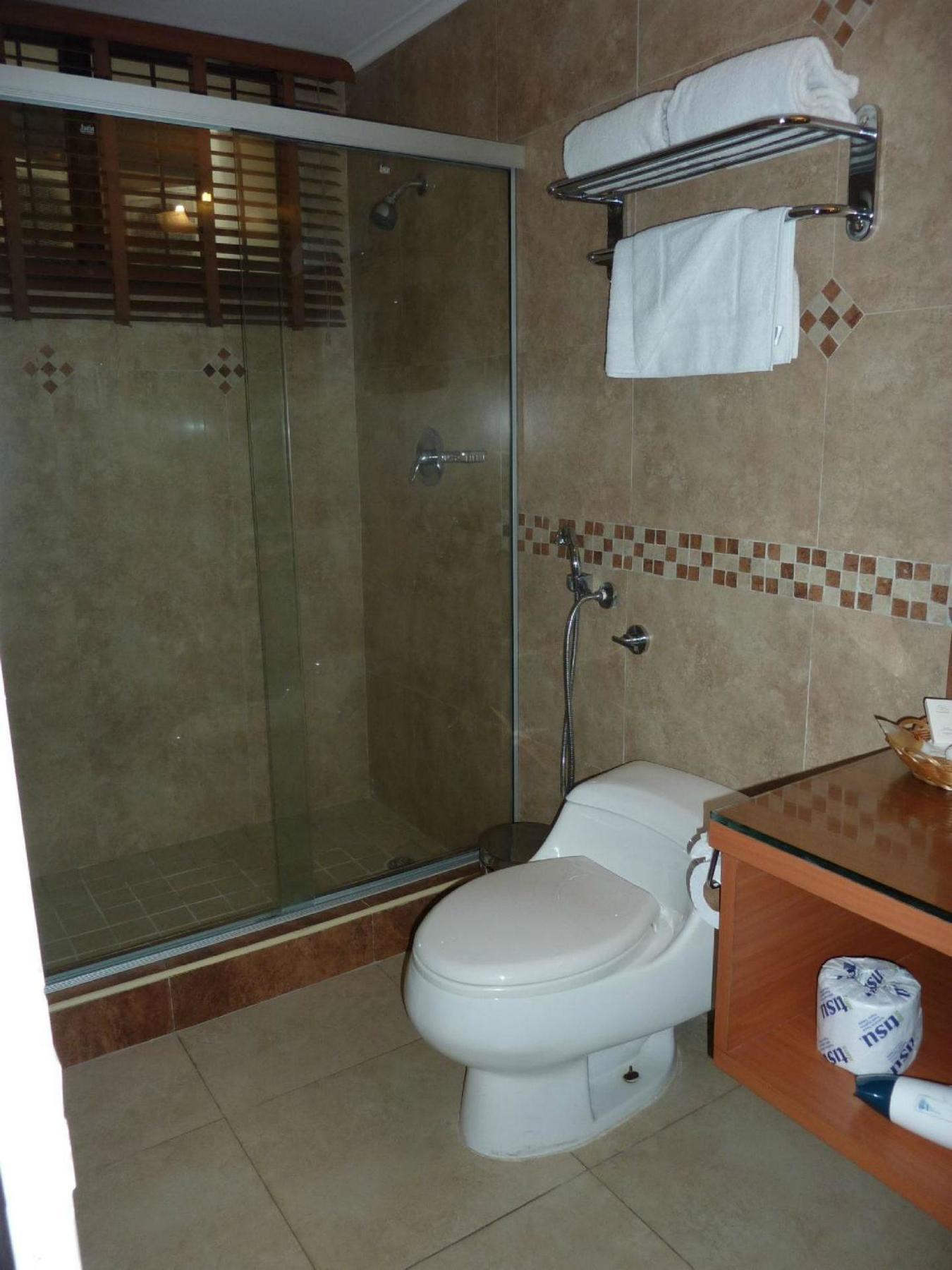 Ambassador Hotel 3*